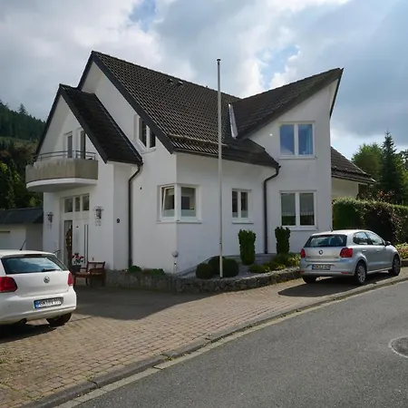 Ferienhaus Schulte - Villa Jupp Und Apartment Liesl Olsberg Buitenkant foto
