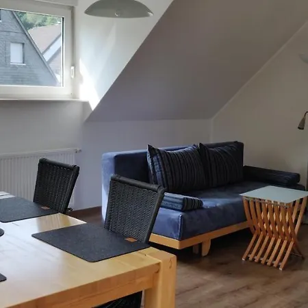Ferienhaus Schulte - Villa Jupp Und Apartment Liesl Olsberg Buitenkant foto